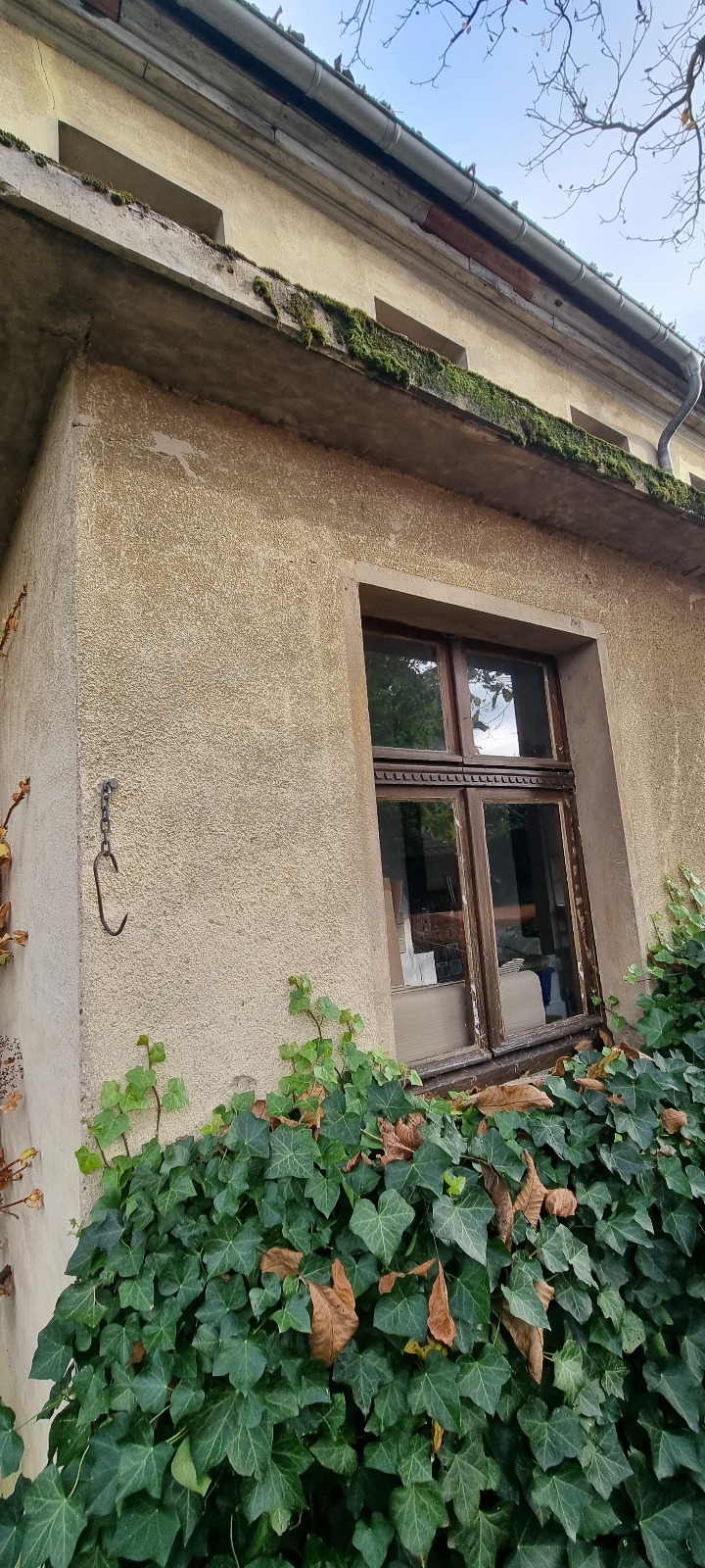 Heizung und Fenster Rheinland-Pfalz - Bild 1