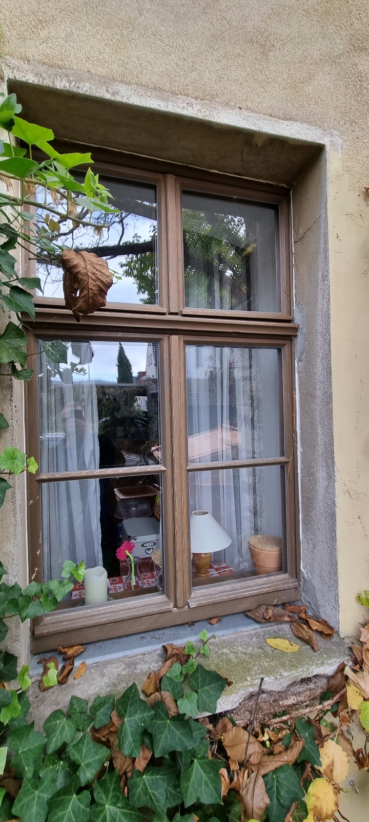 Heizung und Fenster Rheinland-Pfalz - Bild 3